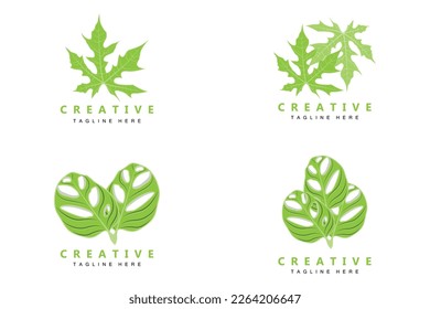 Monstera adansonii Leaf Logo, Green Plant Vector, Tree Vector, Rare Leaf Illustration