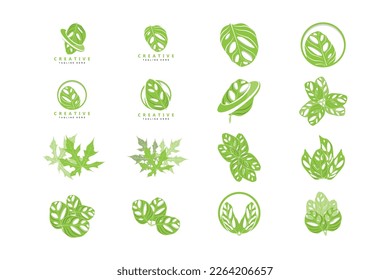 Monstera adansonii Leaf Logo, Green Plant Vector, Tree Vector, Rare Leaf Illustration