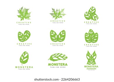 Monstera adansonii Leaf Logo, Green Plant Vector, Tree Vector, Rare Leaf Illustration