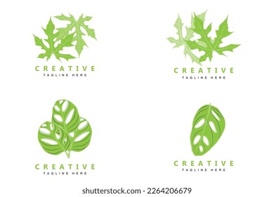 Logotipo de hoja Monstera adansonii, vector de planta verde, vector de árbol, Ilustración de hojas raras