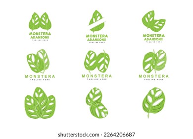 Monstera adansonii Leaf Logo, Green Plant Vector, Tree Vector, Rare Leaf Illustration