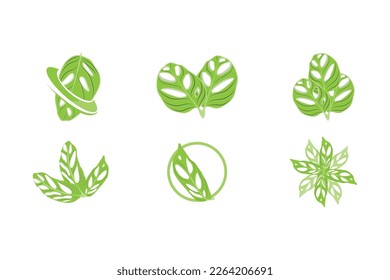 Monstera adansonii Leaf Logo, Green Plant Vector, Tree Vector, Rare Leaf Illustration