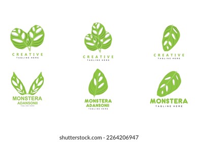 Monstera adansonii Leaf Logo, Green Plant Vector, Tree Vector, Rare Leaf Illustration