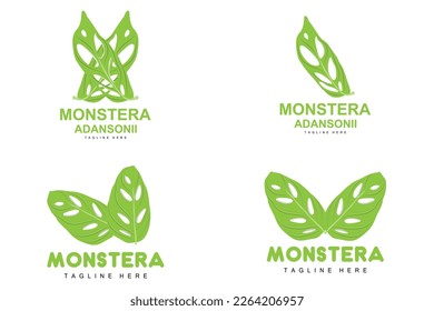 Monstera adansonii Leaf Logo, Green Plant Vector, Tree Vector, Rare Leaf Illustration