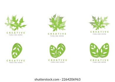 Monstera adansonii Leaf Logo, Green Plant Vector, Tree Vector, Rare Leaf Illustration