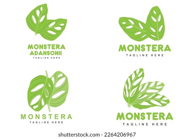 Monstera adansonii Leaf Logo, Green Plant Vector, Tree Vector, Rare Leaf Illustration