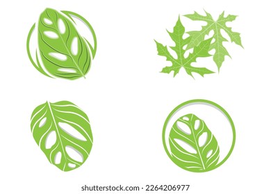 Monstera adansonii Leaf Logo, Green Plant Vector, Tree Vector, Rare Leaf Illustration