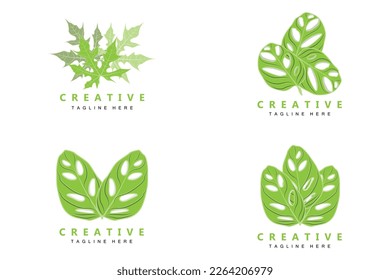 Monstera adansonii Leaf Logo, Green Plant Vector, Tree Vector, Rare Leaf Illustration