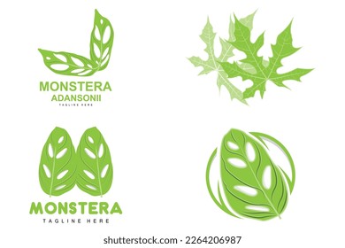 Monstera adansonii Leaf Logo, Green Plant Vector, Tree Vector, Rare Leaf Illustration