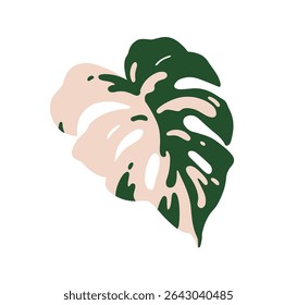 Folha de Monstera albo, padrão variegado. Planta tropical exótica com folhagem bicolor larga grande, verde manchado, textura manchada. Ilustração vetorial plana botânica natural isolada sobre fundo branco