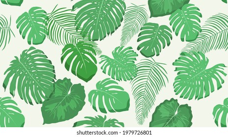 Monstera background. Seamless tropical plant vector texture. Jungle pattern vector.