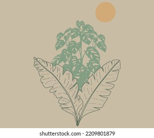 Monstera banana leaves  Sunset the Desert Vibes in Arizona, Desert vibes vector graphic print design for apparel 