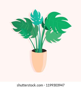 Monstera in beige flowerpot