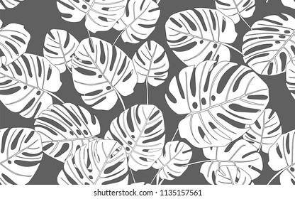 Monstera. Big leaves and exotic flowers composition. Vector illustration. Botanical seamless wallpaper. Digital nature art. Cartoon style sketch. Grey background.