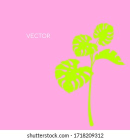 Monstera branch flat color vector background. Yellow philodendron twig on pink backdrop. Floral leaves. Tropical summer vacation social media post mock up. Exotic resort web banner template