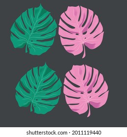 Monstera heller Druck für Kleidung