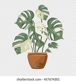 Monstera in a ceramic pot. Green indoor vector house plant. 