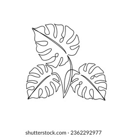 Monstera continuous Line illustration template