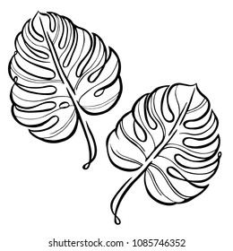 Monstera Leaves Vector Illustration Black Outline Stock Vector (Royalty ...