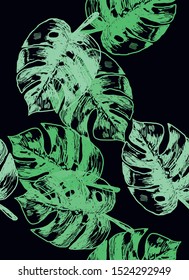 Monstera creeper plant indoor tropical flower vector graphics hand-drawn background texture