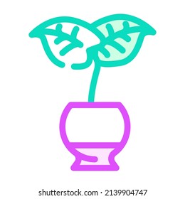 monstera deliciosa color icon vector. monstera deliciosa sign. isolated symbol illustration
