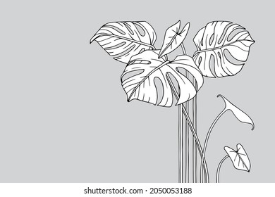 Monstera deliciosa. Composición, ramo de hojas tropicales. Fondo vectorial. Silhouette, líneas de arte, diseño minimalista. Gráfico en blanco y negro. Elementos dibujados a mano para la decoración.