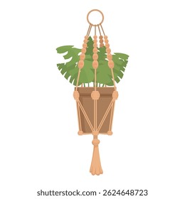 Monstera deliciosa is growing in a terracotta pot hanging from the ceiling in a macrame plant hanger