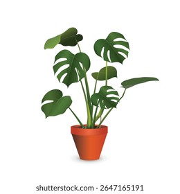 Monstera deliciosa - large exotic plant (tropical liana) in a plastic flower pot isolated on a white background close-up. Vector realistic image for room design project, plant store advertising banner