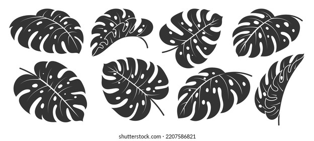 Monstera Deliciosa leaf flat icon set. Tropical exotic plant branch stencil black silhouette. Summer philodendron foliage. Floral scrapbooking cut design element. Single leaves ink stamp on white