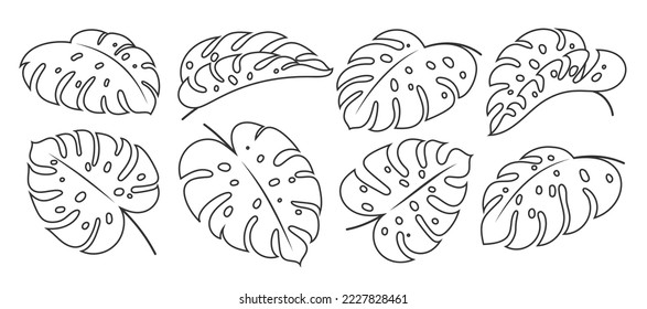 Monstera Deliciosa leaf linear set. Philodendron single leaves coloring page template. Tropical exotic summer plant branch. Floral doodle hand drawn fashion design element. Outline jungle foliage