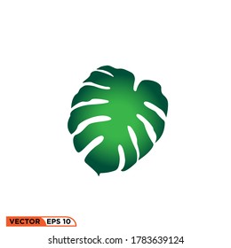 Monstera deliciosa Leaf Logo Symbol Vektorvorlage Illustration Design.