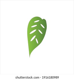Monstera deliciosa Leaf Logo Vector Template Illustration Design
Green Monstera leaf icons design template vector
