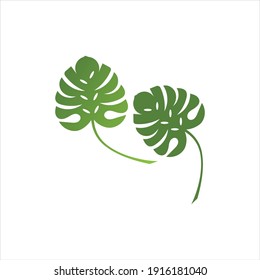 Monstera deliciosa Leaf Logo Vector Template Illustration Design
Green Monstera leaf icons design template vector
