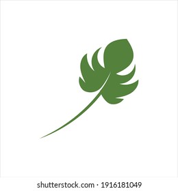 Monstera deliciosa Leaf Logo Vector Template Illustration Design
Green Monstera leaf icons design template vector