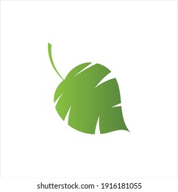 Monstera deliciosa Leaf Logo Vector Template Illustration Design
Green Monstera leaf icons design template vector
