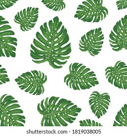 Monstera deliciosa hoja sin costura