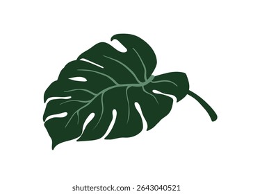 Folha de Monstera deliciosa. Planta verde tropical exótica. Grande vegetação larga, folhagem dividida. Decoração natural fresca. Elemento floral botânico. Ilustração de vetor plano isolada no plano de fundo branco