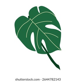 Folha de Monstera deliciosa. Planta verde tropical exótica. Grande vegetação larga, folhagem dividida. Decoração natural fresca. Elemento floral botânico. Ilustração de vetor plano isolada no plano de fundo branco