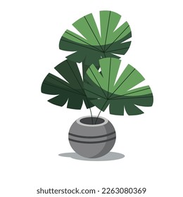 Monstera deliciosa leaf Vektordesign