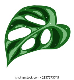 Monstera Deliciosa leaf vector, flat design isolated on white background, Eps 10 illustration