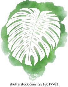 Monstera Deliciosa Blatt Vektor, realistisches Design einzeln auf weißem Hintergrund mit Aquarell-grüner Schriftart.