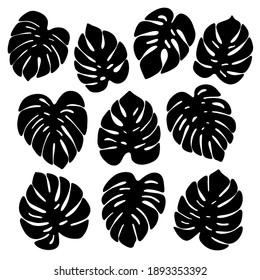 Monstera deliciosa leaves hand drawn vector set. Black leaf clipart. Tropical plant illustration isolated on white background. Scandinavian minimalism poster. Modern print.