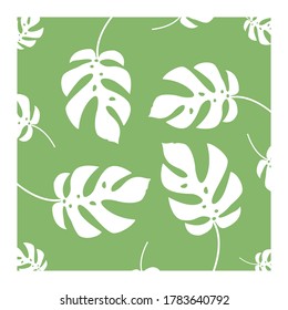 Monstera deliciosa Leaves Seamless pattern Logo icon design vector illustration