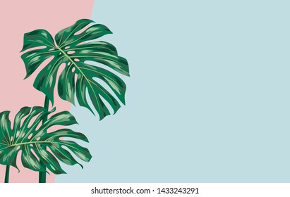 Monstera deliciosa on color paper background with copy space vector illustration