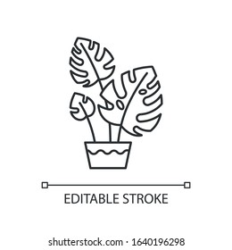 Monstera deliciosa pixel perfect linear icon. Swiss cheese plant. Philodendron with split leaves. Thin line customizable illustration. Contour symbol. Vector isolated outline drawing. Editable stroke