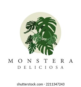 monstera deliciosa plant illustration vector