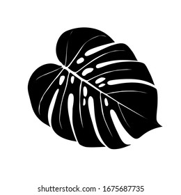 Monstera Deliciosa plant leaf from tropical forests isolated. Vector for greeting cards, flyers, invitations, web design