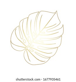 Monstera Deliciosa plant leaf from tropical forests isolated. Vector for greeting cards, flyers, invitations, web design