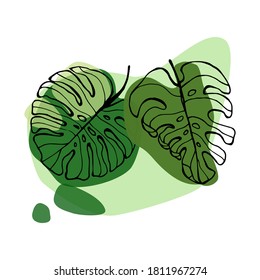 Monstera Deliciosa plant leaf from tropical forests isolated on white background. Can be used for greeting cards, flyers, invitations, web design, graphic design to everything. 