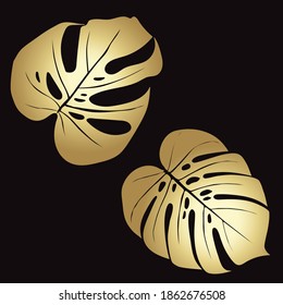 Monstera Deliciosa plant leaf from tropical forests isolated. Vector for greeting cards, flyers, invitations, web design